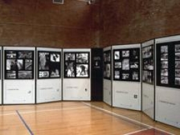 Pannello espositivo CLIPPER LEGGERO - cm 45x200h 